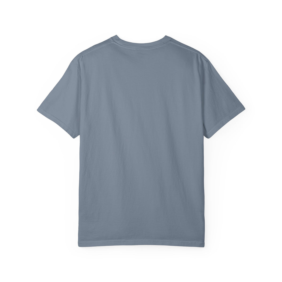 Lake America Vintage T-Shirt — Since 2026 Forest Lake Graphic Tee