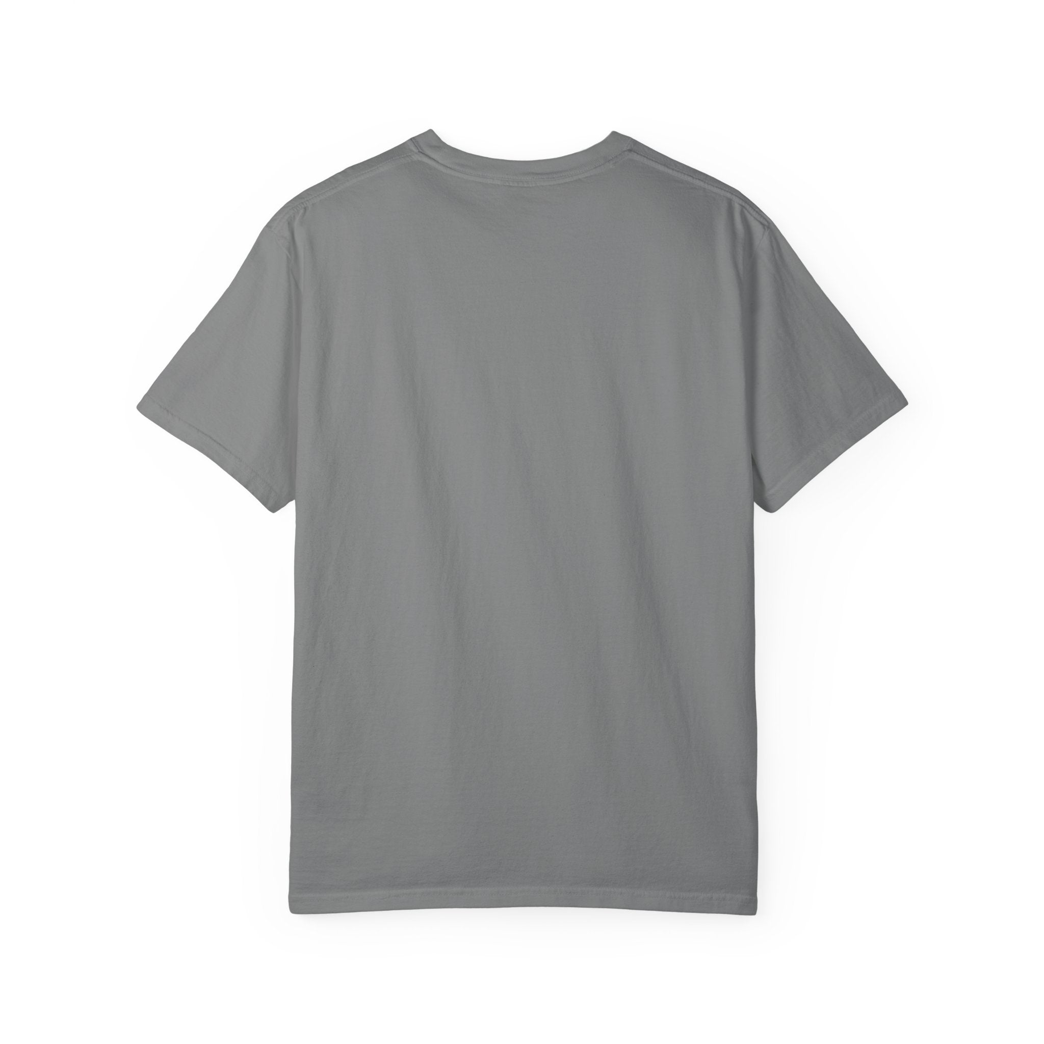 Lake America Vintage T-Shirt — Since 2026 Forest Lake Graphic Tee