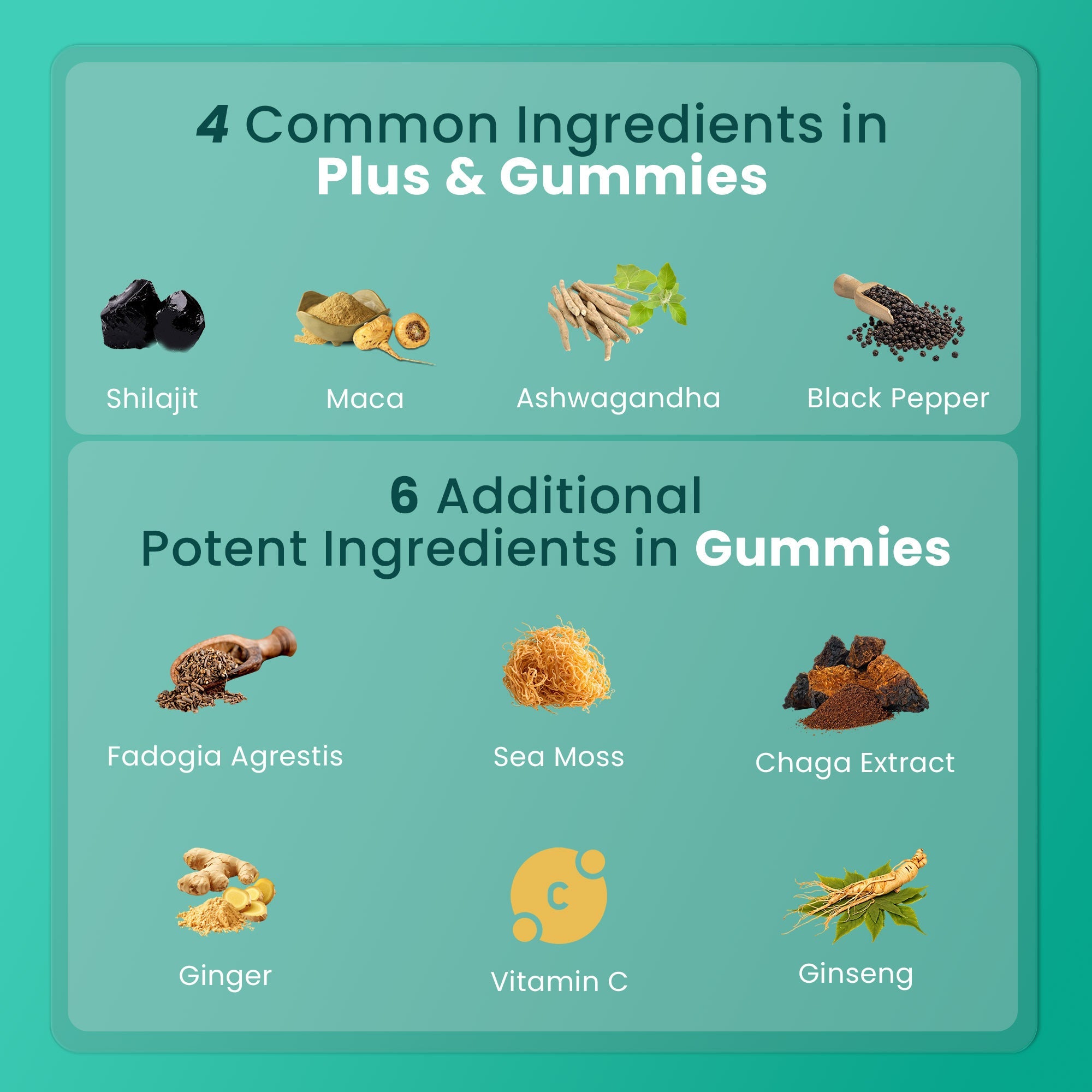 BeepWell Shilajit Resin & Gummies Combo –